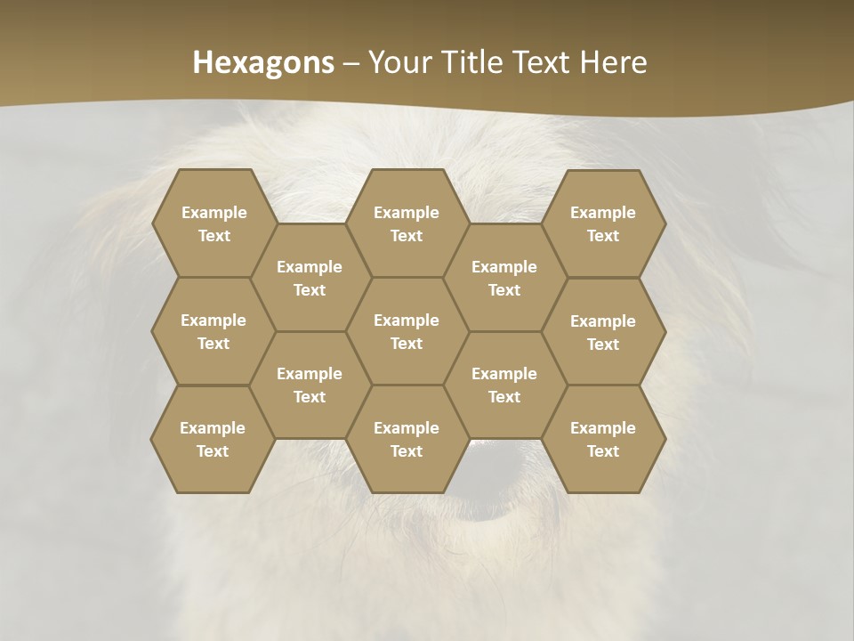 A Brown And Black Dog Standing On Top Of A Sidewalk PowerPoint Template