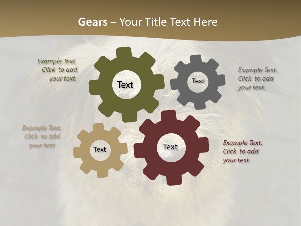 A Brown And Black Dog Standing On Top Of A Sidewalk PowerPoint Template