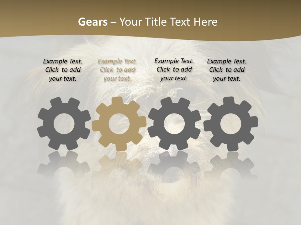 A Brown And Black Dog Standing On Top Of A Sidewalk PowerPoint Template