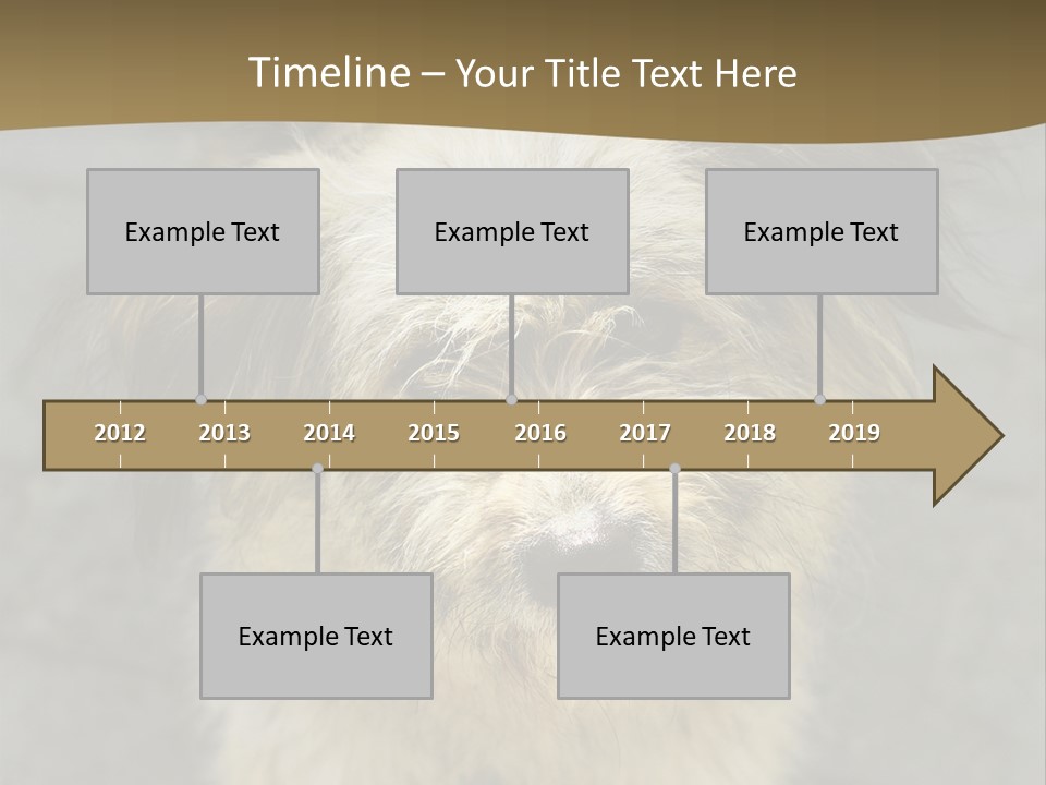 A Brown And Black Dog Standing On Top Of A Sidewalk PowerPoint Template