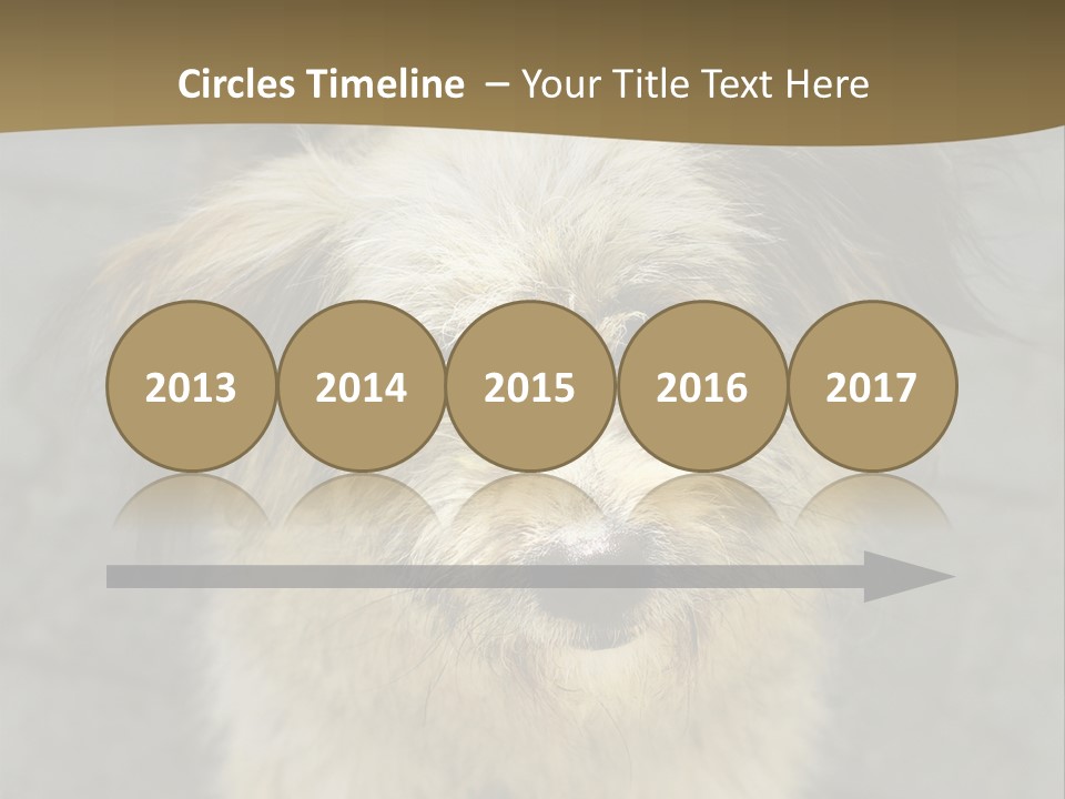 A Brown And Black Dog Standing On Top Of A Sidewalk PowerPoint Template