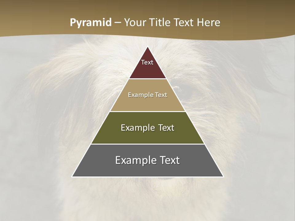 A Brown And Black Dog Standing On Top Of A Sidewalk PowerPoint Template