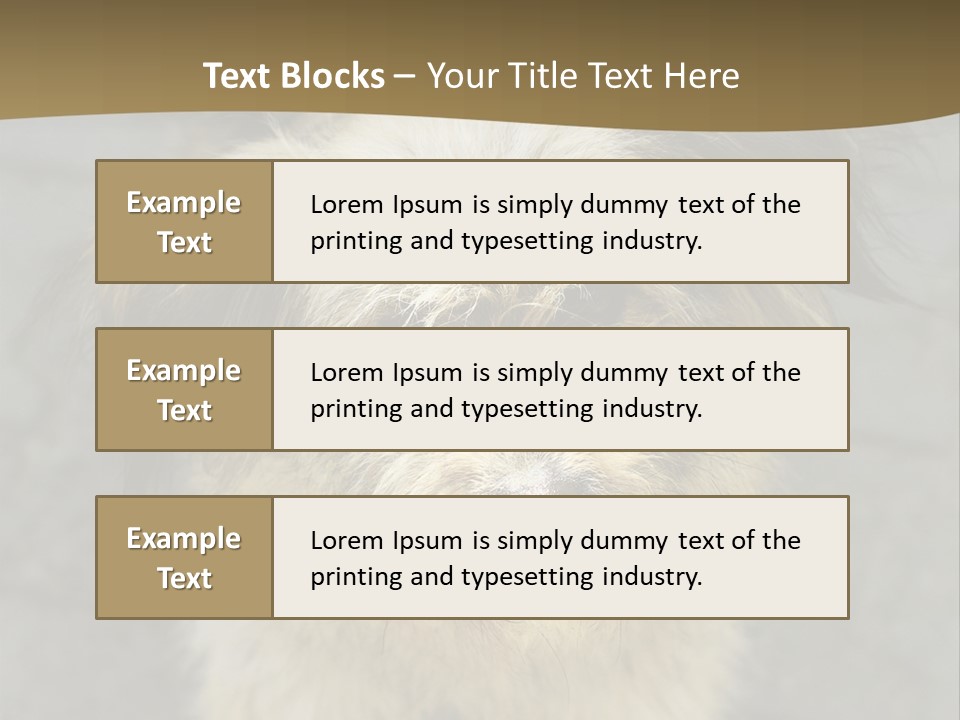 A Brown And Black Dog Standing On Top Of A Sidewalk PowerPoint Template