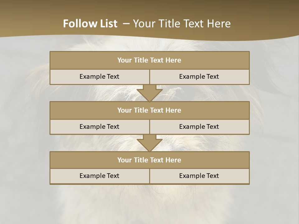 A Brown And Black Dog Standing On Top Of A Sidewalk PowerPoint Template