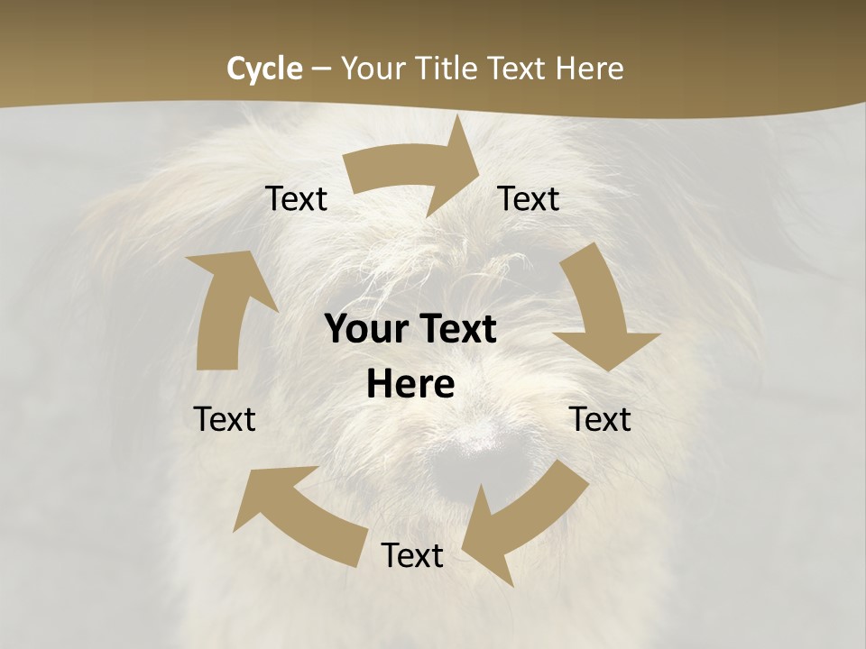 A Brown And Black Dog Standing On Top Of A Sidewalk PowerPoint Template