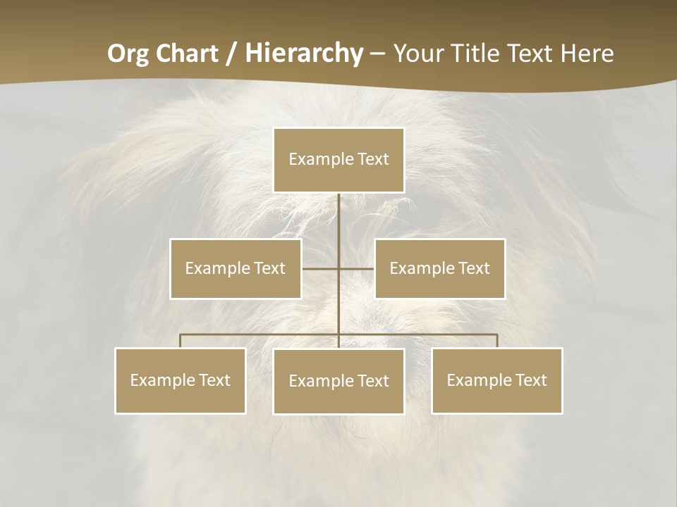 A Brown And Black Dog Standing On Top Of A Sidewalk PowerPoint Template