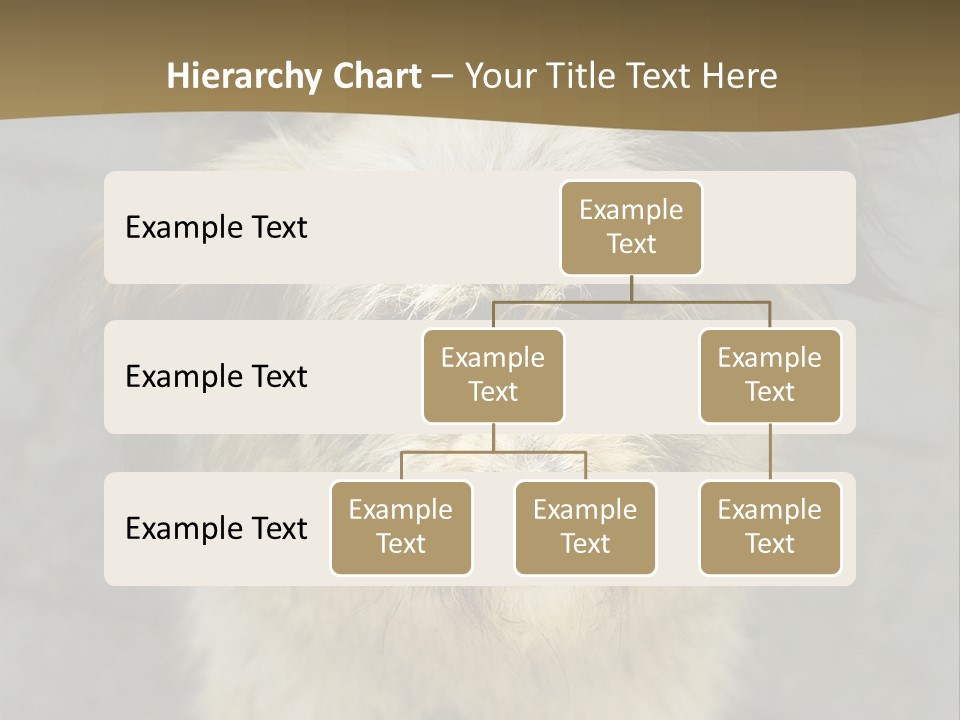 A Brown And Black Dog Standing On Top Of A Sidewalk PowerPoint Template