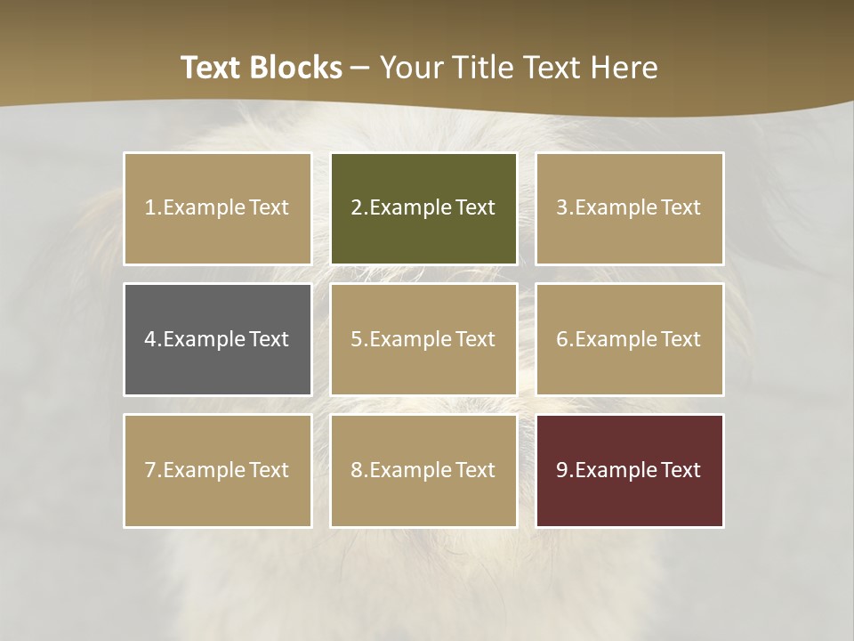 A Brown And Black Dog Standing On Top Of A Sidewalk PowerPoint Template