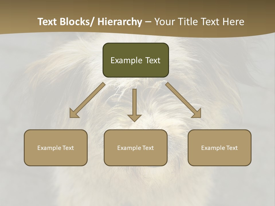 A Brown And Black Dog Standing On Top Of A Sidewalk PowerPoint Template