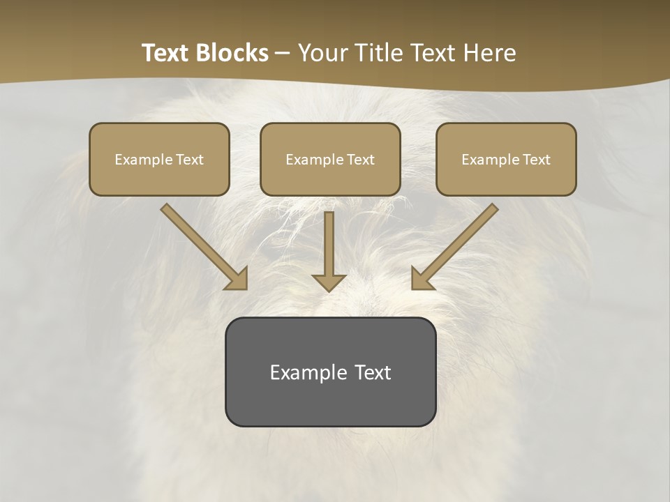 A Brown And Black Dog Standing On Top Of A Sidewalk PowerPoint Template