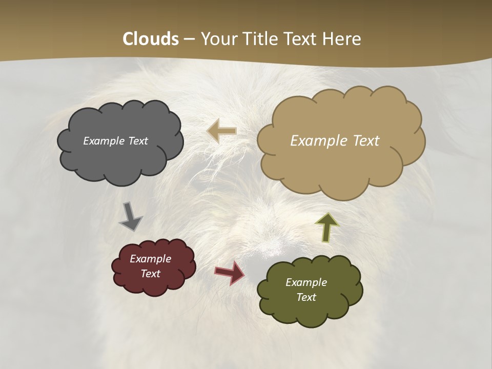 A Brown And Black Dog Standing On Top Of A Sidewalk PowerPoint Template