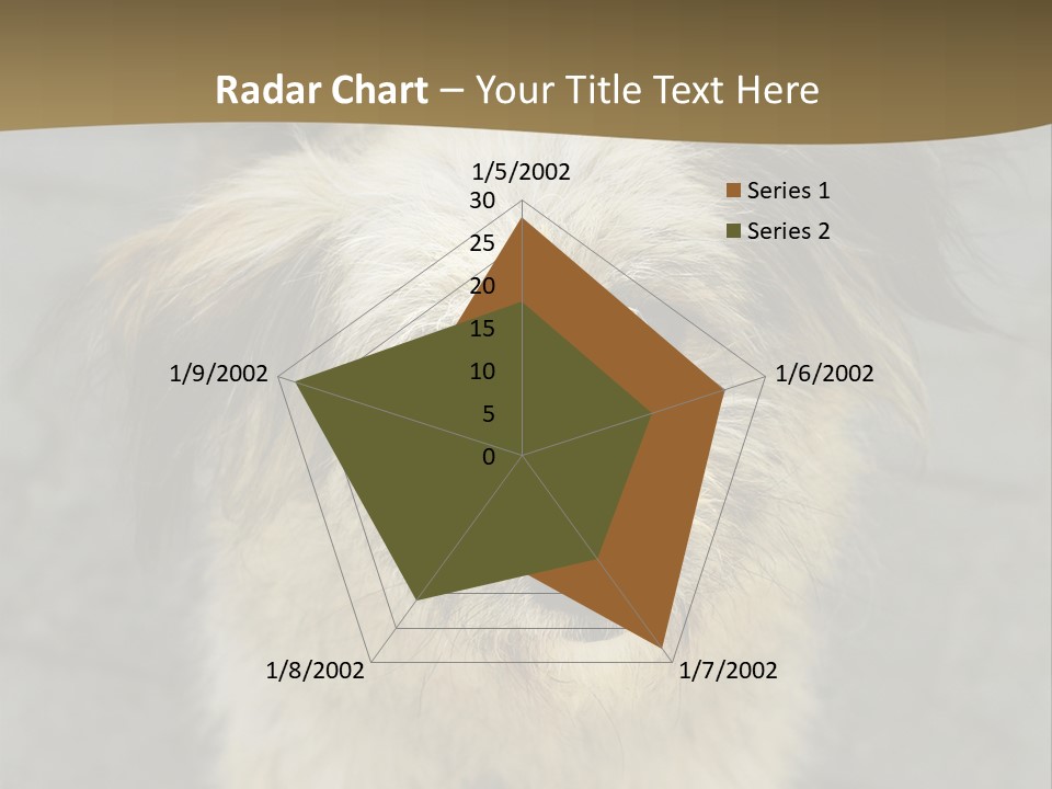 A Brown And Black Dog Standing On Top Of A Sidewalk PowerPoint Template