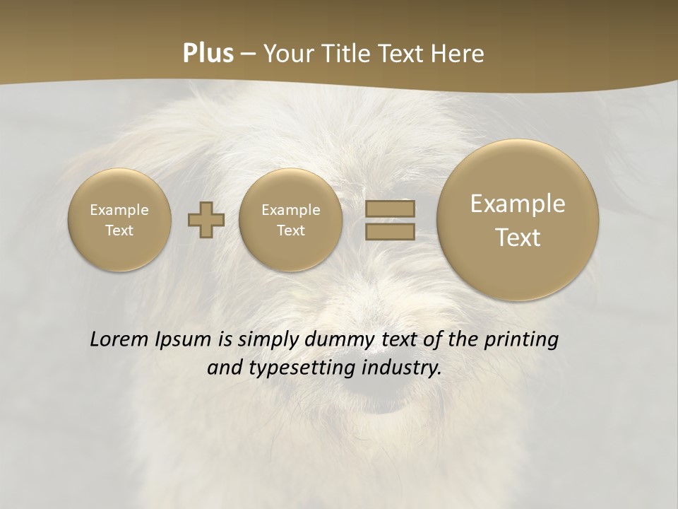 A Brown And Black Dog Standing On Top Of A Sidewalk PowerPoint Template