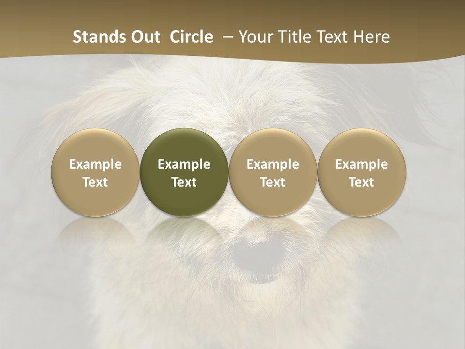 A Brown And Black Dog Standing On Top Of A Sidewalk PowerPoint Template