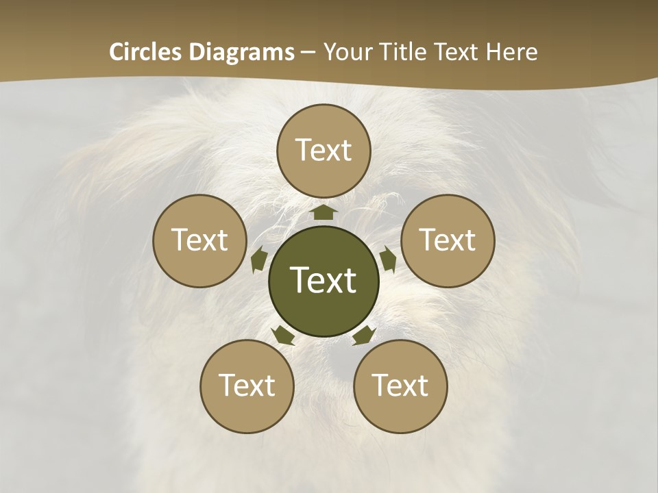 A Brown And Black Dog Standing On Top Of A Sidewalk PowerPoint Template