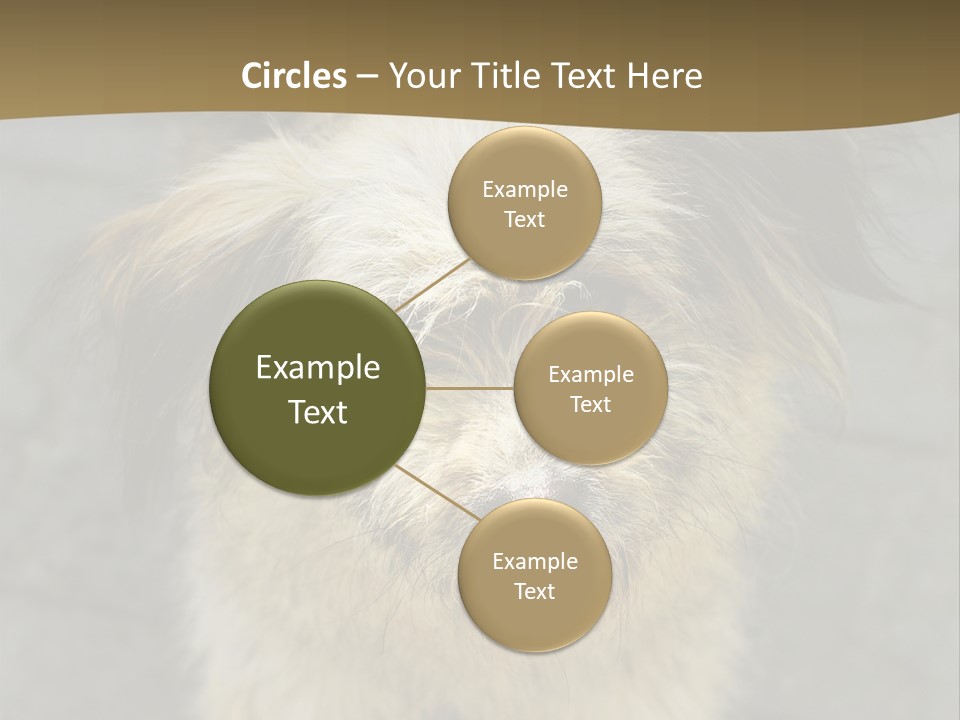 A Brown And Black Dog Standing On Top Of A Sidewalk PowerPoint Template