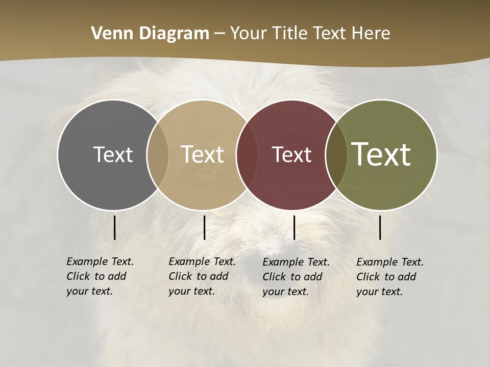 A Brown And Black Dog Standing On Top Of A Sidewalk PowerPoint Template