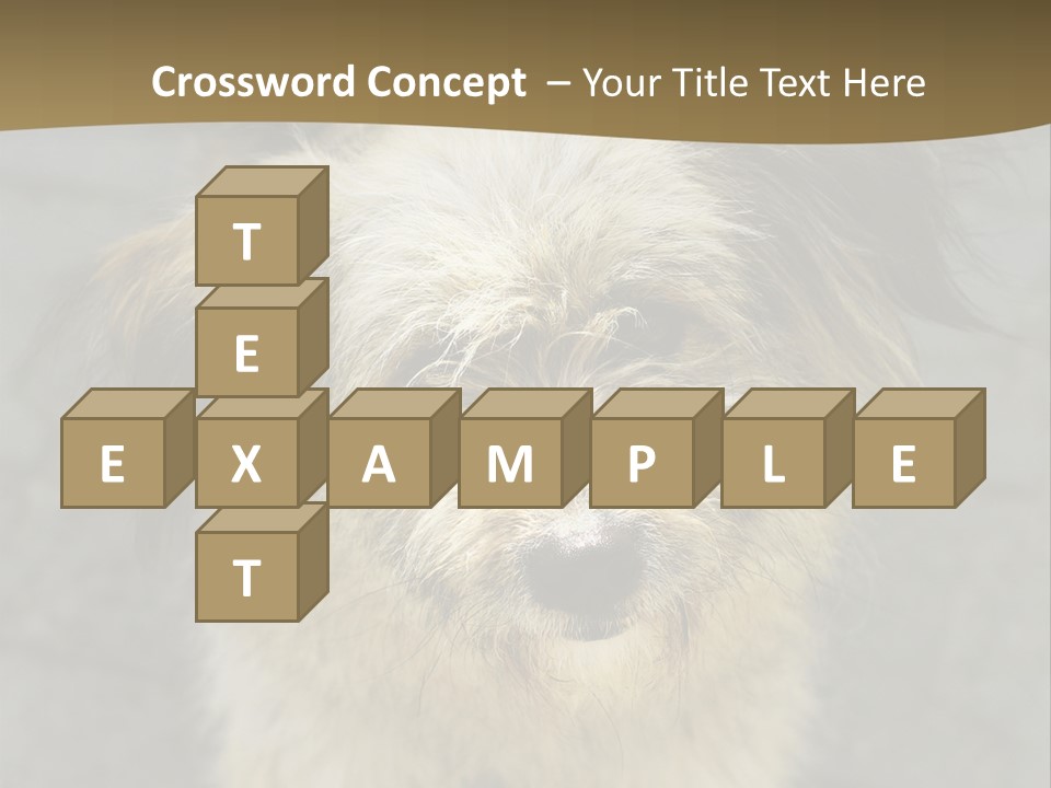 A Brown And Black Dog Standing On Top Of A Sidewalk PowerPoint Template