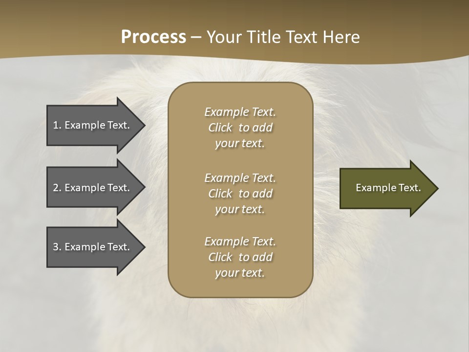A Brown And Black Dog Standing On Top Of A Sidewalk PowerPoint Template