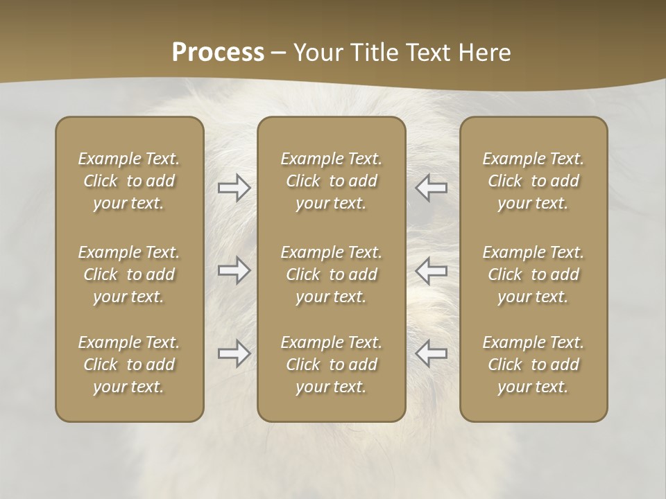 A Brown And Black Dog Standing On Top Of A Sidewalk PowerPoint Template