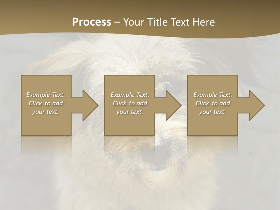 A Brown And Black Dog Standing On Top Of A Sidewalk PowerPoint Template