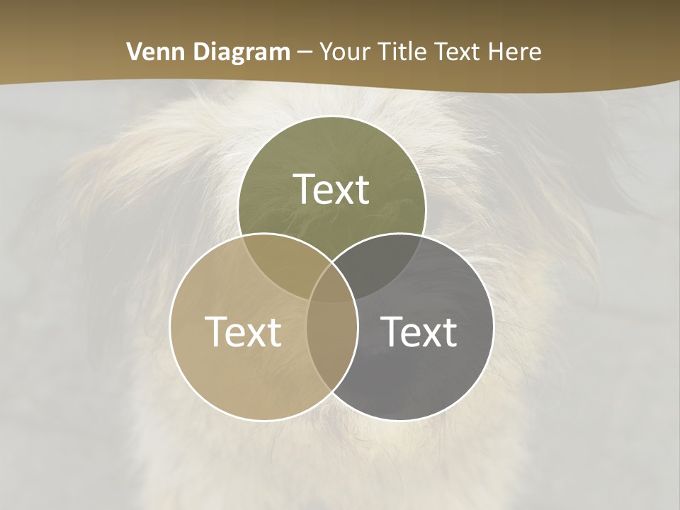 A Brown And Black Dog Standing On Top Of A Sidewalk PowerPoint Template