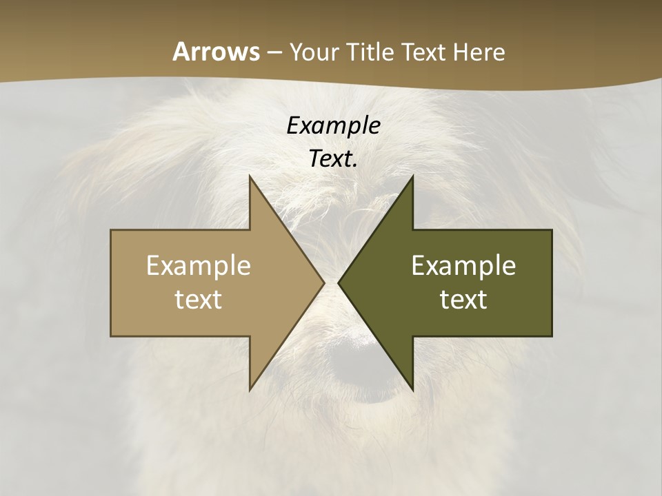 A Brown And Black Dog Standing On Top Of A Sidewalk PowerPoint Template