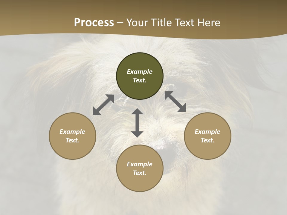 A Brown And Black Dog Standing On Top Of A Sidewalk PowerPoint Template