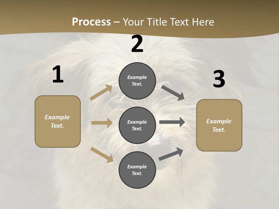 A Brown And Black Dog Standing On Top Of A Sidewalk PowerPoint Template