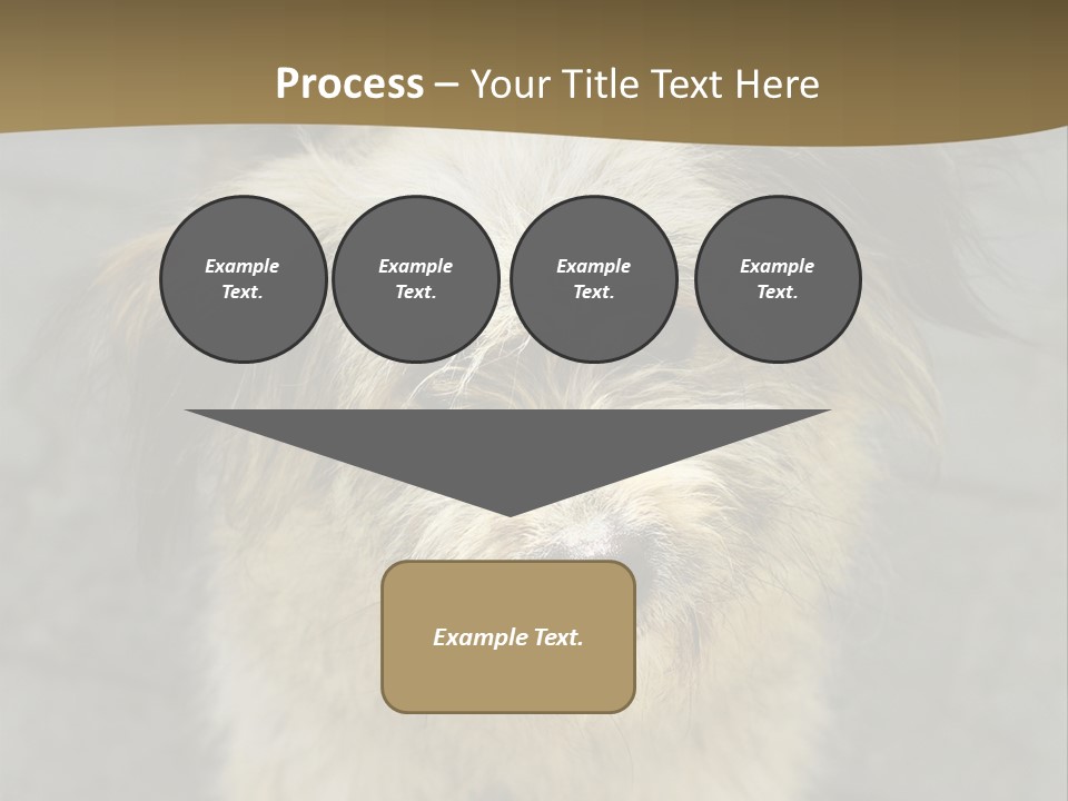 A Brown And Black Dog Standing On Top Of A Sidewalk PowerPoint Template