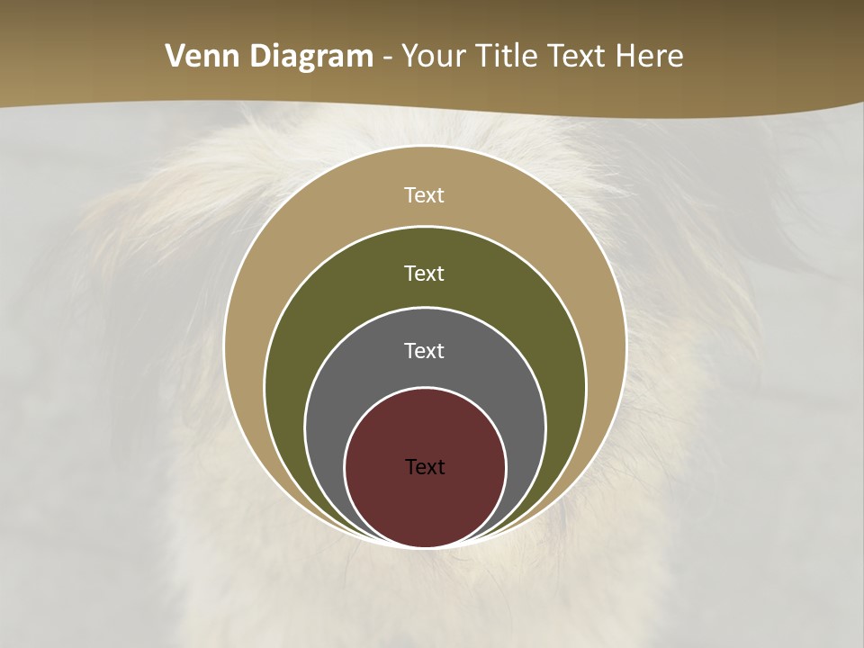 A Brown And Black Dog Standing On Top Of A Sidewalk PowerPoint Template