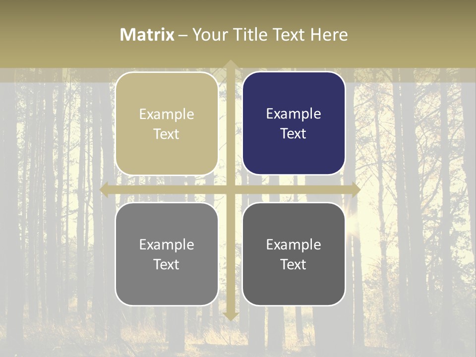 Shine Morning Nature PowerPoint Template