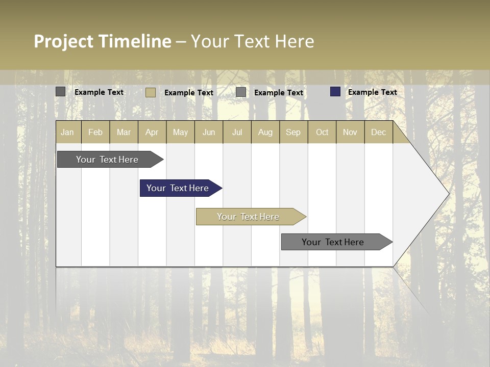 Shine Morning Nature PowerPoint Template