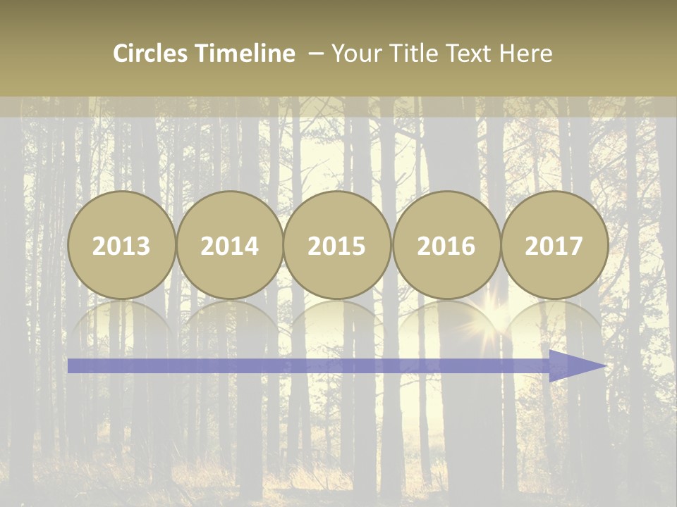 Shine Morning Nature PowerPoint Template