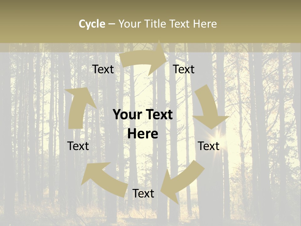 Shine Morning Nature PowerPoint Template