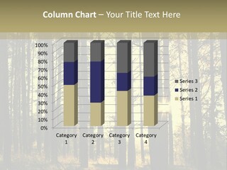 Shine Morning Nature PowerPoint Template