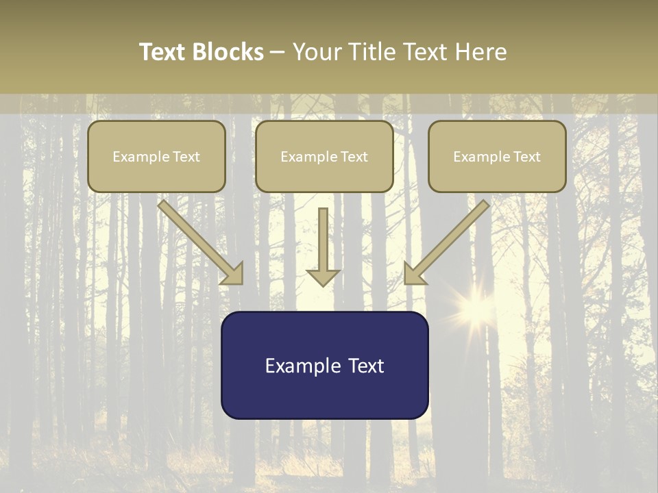 Shine Morning Nature PowerPoint Template