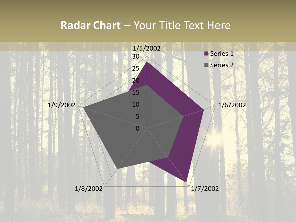Shine Morning Nature PowerPoint Template