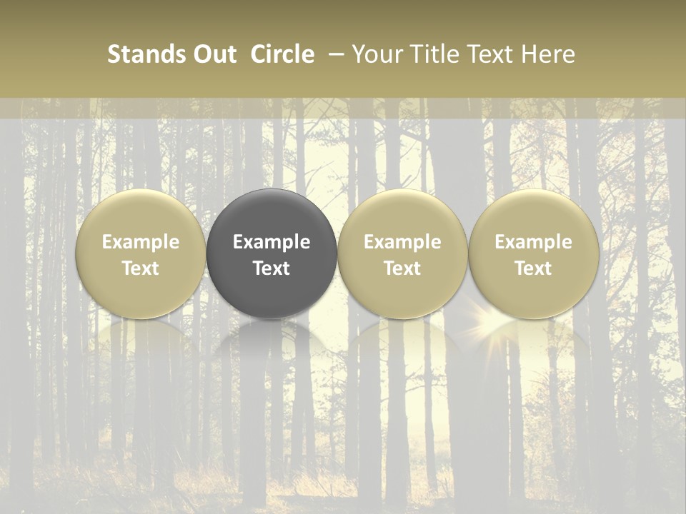 Shine Morning Nature PowerPoint Template