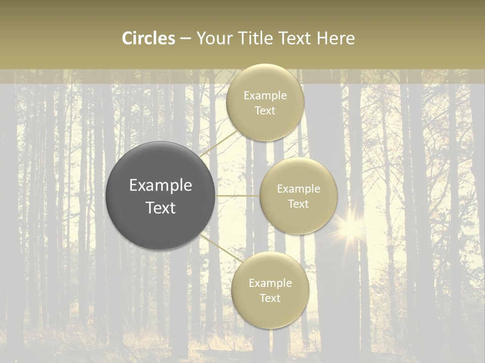 Shine Morning Nature PowerPoint Template