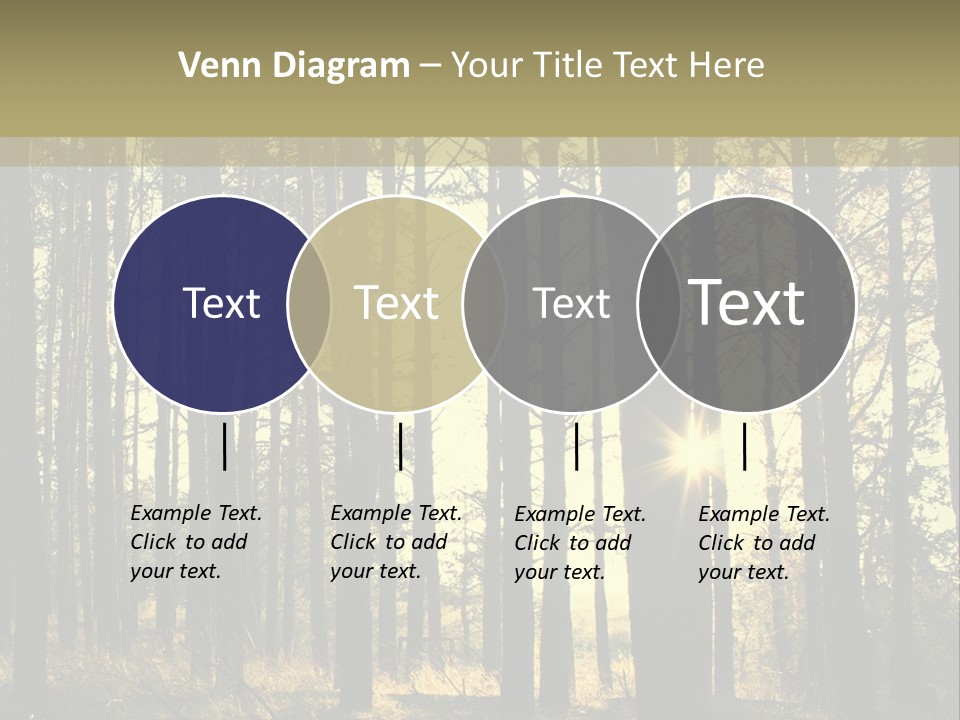 Shine Morning Nature PowerPoint Template