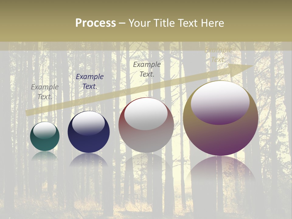 Shine Morning Nature PowerPoint Template