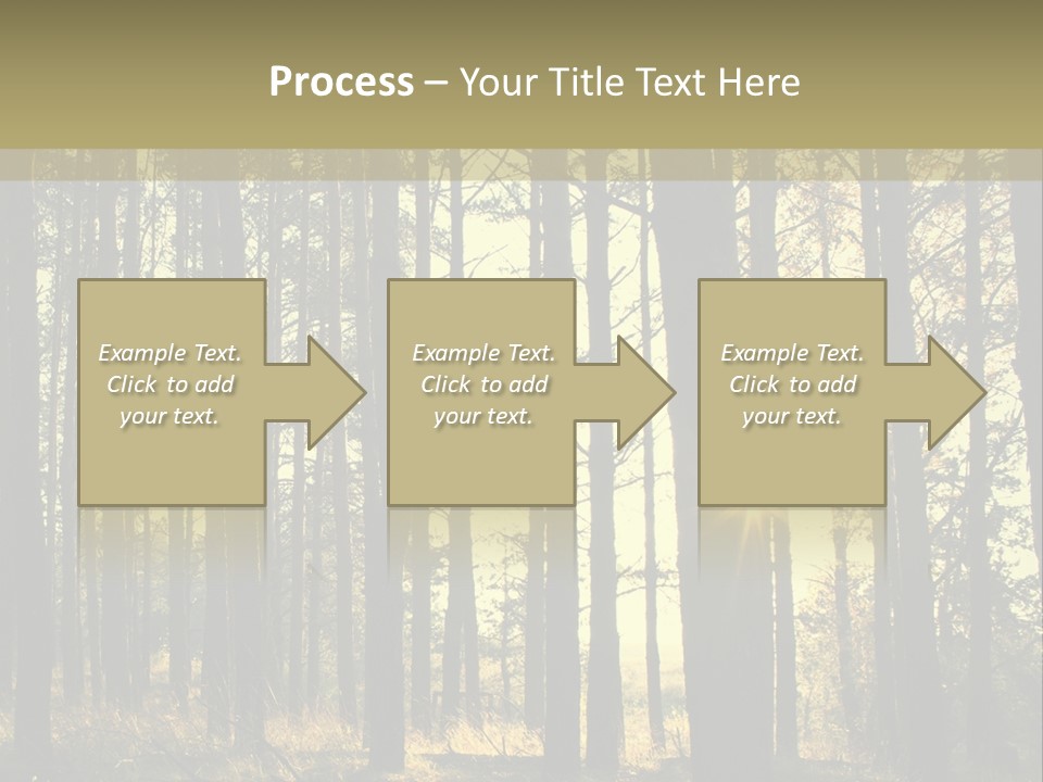 Shine Morning Nature PowerPoint Template