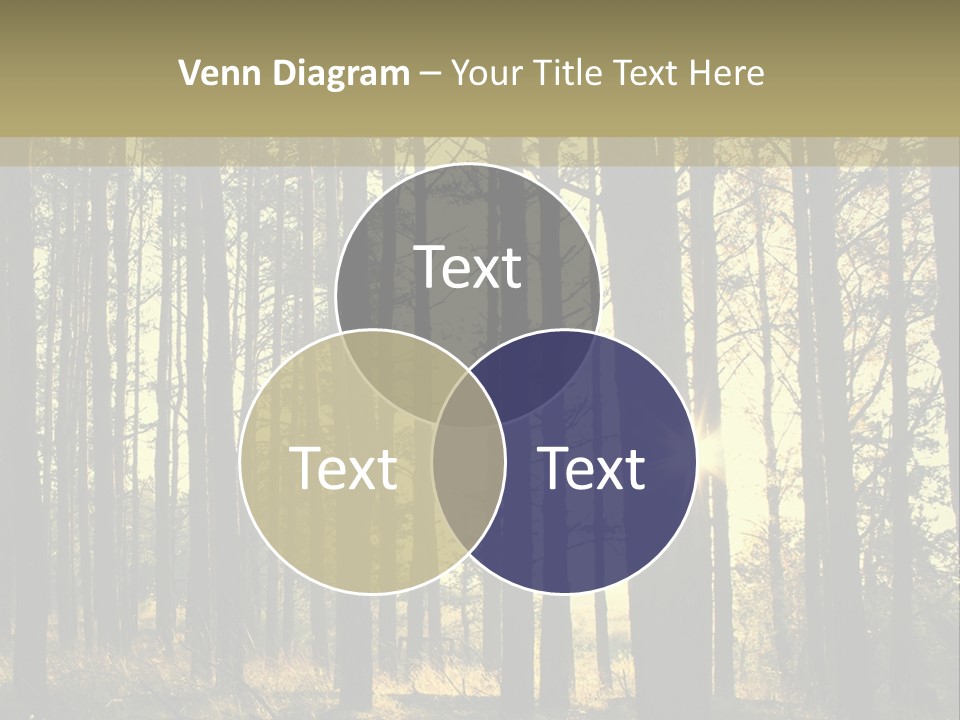 Shine Morning Nature PowerPoint Template