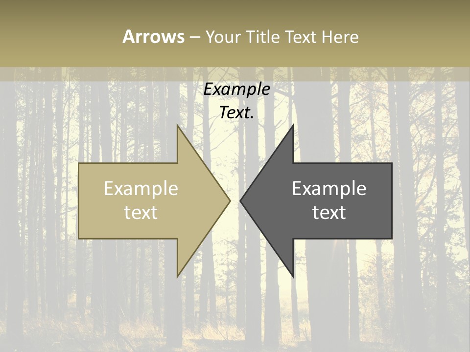 Shine Morning Nature PowerPoint Template