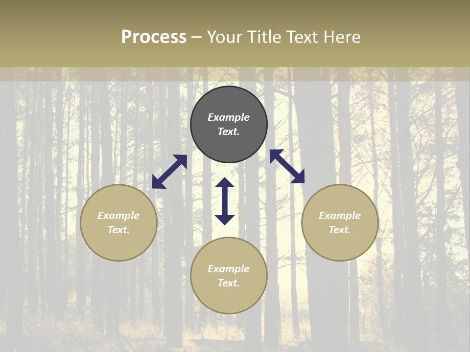 Shine Morning Nature PowerPoint Template