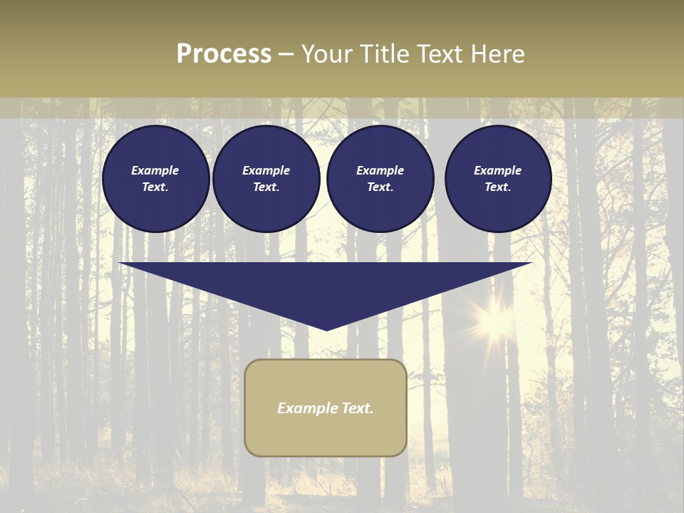 Shine Morning Nature PowerPoint Template