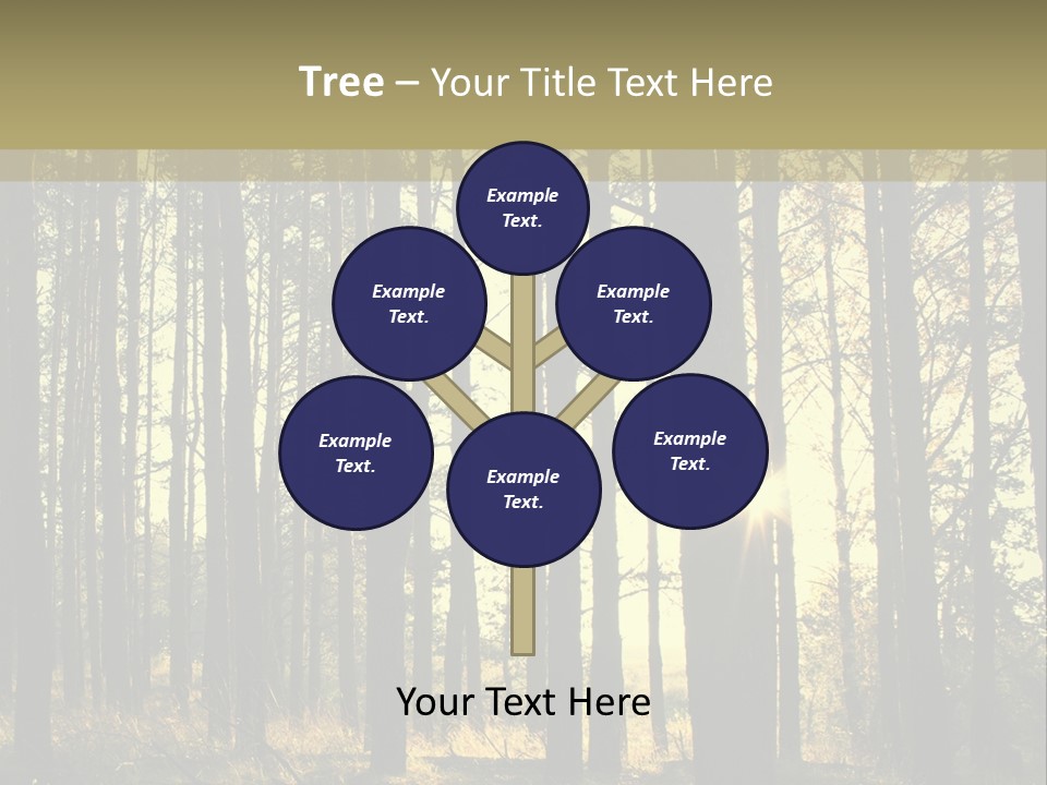 Shine Morning Nature PowerPoint Template