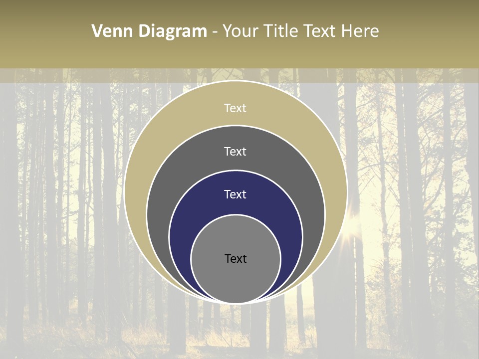 Shine Morning Nature PowerPoint Template