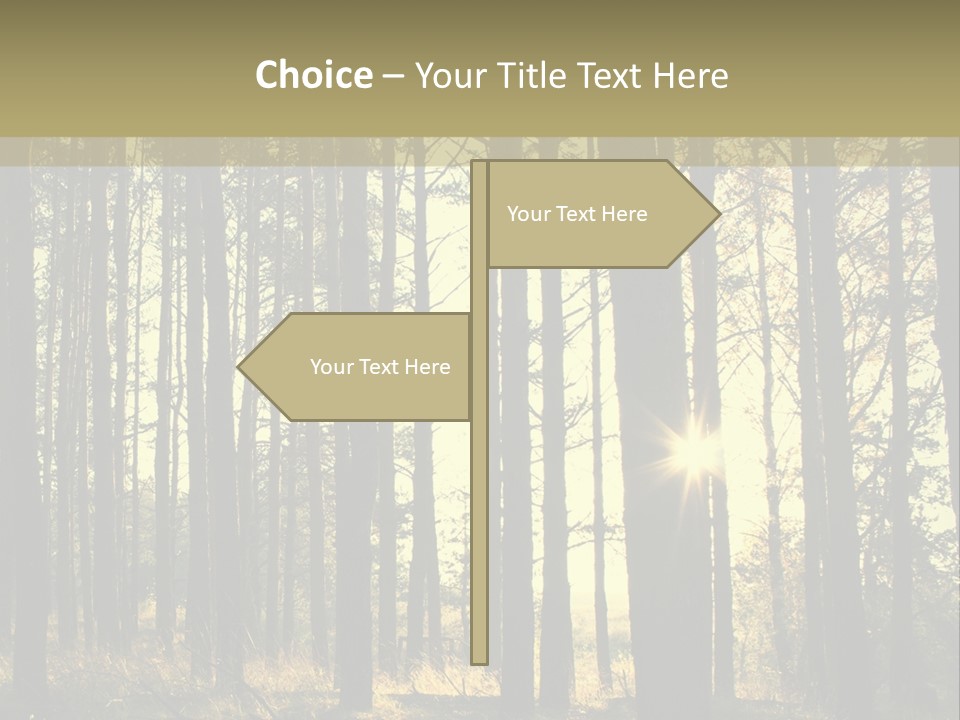 Shine Morning Nature PowerPoint Template